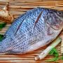Jarang Diketahui, Ini 5 Manfaat Ikan Mujair bagi Kesehatan Tubuh