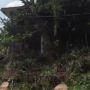 Profil Dokter Wayan yang Hidup di Rumah Mewah Penuh Sampah
