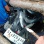 Driver Ojol di Padang Tewas Ditimpa Pohon Tumbang, Motornya Peyot