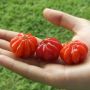 5 Manfaat Buah Dewandaru untuk Kesehatan, Efektif Mengatasi Hipertensi