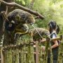 Kebun Binatang Bandung, Tempat Wisata Alam Edukasi Flora dan Fauna