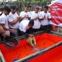 Demi Penuhi Kebutuhan Pangan, PMN Gelar Pelatihan Budi Daya Ikan Lele di Kabupaten Bandung