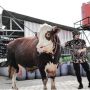 Atta Halilintar Beli Sapi Beserta Kandangnya, Netizen: Kok Kepikiran Ya