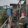Kandang Kuda di Bogor Terbakar, 9 Kuda Mati Terpanggang