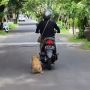 Video Seret Anjing Naik Motor Viral, Polisi Kini Cari Pelaku Dan Pengunggahnya
