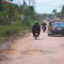 Mencoba Jajal Ruas Jalan Kota Jambi-Sungai Gelam, Jokowi: Rusak Parah!