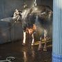 Cek Harga Sapi Kurban 2023 Terbaru, Mulai yang Termurah sampai Termahal