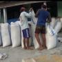 Pengusaha Beras Pusing, Harga Gabah Tembus Rp 8.200 per Kg