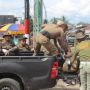 Satpol PP Aceh Jaya Tangkap 59 Ekor Hewan Ternak yang Dibiarkan Berkeliaran oleh Pemiliknya