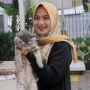 Pemilik Anabul Wajib Tahu! 10 Kesalahan Ini Bikin Hewan Peliharaanmu Menderita