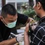 Jaga DKI Jakarta Bebas Rabies, Pemkot Jakbar Vaksinasi Monyet Hingga Musang