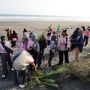 Mengembalikan Fungsi Ekologi Lewat Pandan Laut dan Bersih-Bersih Pantai di Bantul