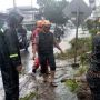 Tanjungpinang Diserang Hujan Deras dan Angin Kencang, Pohon Tumbang Sebabkan Kemacetan