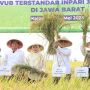 Tinjau Panen di Karawang, Wamentan Dorong Pemda Jaga Produktivitas Pertanian