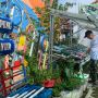 Urban Farming Kampung Sayur Cempako, Ubah Perilaku Warga Nan Diganjar Penghargaan BRI