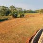 Petani Organik di Jawa Tengah Siap Lawan Gempuran El-Nino dengan Mengandalkan Jaringan Irigasi dan Sumur Resapan