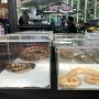 Pecinta Hewan dan Tanaman Hias Dimanjakan dengan Pameran Planning Exhibition di SMB