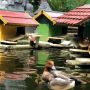 Eco Green Park, Tempat Wisata Edukasi Alam untuk Liburan Keluarga di Malang