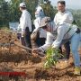 IDI Jombang Gencarkan Gerakan Menanam Pohon Buah, Ini Tujuannya