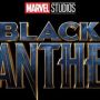 Menyoroti Nilai-nilai Politik Lingkungan dalam Film Black Panther