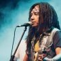 Nyanyikan Lagu 'Celeng Dhegleng' Buat Ganjar dan Megawati, Siapa Sri Krishna Encik?