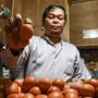 Harga Telur Ayam di Jakarta Tembus Rp 34.000 per Kg