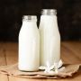 Ini 8 Makanan untuk Memperkuat Tulang dan Mencegah Osteoporosis