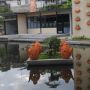 4 Rekomendasi Tempat Makan di Sumedang dengan Menu Legendaris dan Harga Murah