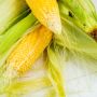 Jangan Dibuang! Ini 5 Ragam Manfaat Rambut Jagung untuk Kesehatan Tubuh