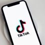 Apakah Ada Notifikasi saat Mengambil Screenshot di TikTok?