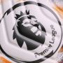 Catat! Jadwal Lengkap Lengkap Pertandingan Liga Inggris Minggu Pertama