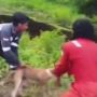 Perusahaan Ungkap Alasan Pemecatan Karyawan Pelempar Anjing ke Buaya