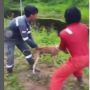 Sadis! Tiga Pria Pekerja Lempar Anjing Hidup-hidup untuk Makanan Buaya
