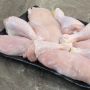3 Tips Mencairkan Daging Ayam Beku yang Aman agar Bakteri Tidak Berkembang