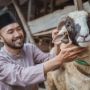4 Tips Memilih Hewan Kurban yang Tepat, Jangan Sampai Keliru!