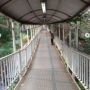 Viral Pria Kepergok Berak di JPO Semanggi, TransJakarta: Sudah Dibersihkan Petugas
