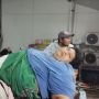 5 Fakta Kesehatan Fajri Pria Obesitas 300 Kg, Meninggal Akibat Komplikasi