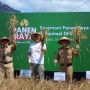 Terapkan Sistem Digital, Hasil Panen Raya Petani Padi di Selogiri Wonogiri Naik 50 Persen