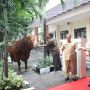 Mendagri Serahkan Hewan Kurban dari Jajaran Kemendagri dan BNPP