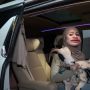 Demi Anak, Intip 9 Momen Nathalie Holscher Ajak Kambing Naik Alphard