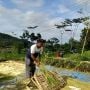 Petani di Kulon Progo Makin Mudah Akses Pupuk Bersubsidi dengan Kartu Tani BRI