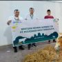 Sambut Hari Idul Adha, Pegadaian Kanwil XI Semarang Bagikan 69 Hewan Kurban di Jateng dan DIY