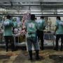 Dharma Jaya Renovasi Cold Storage Untuk Difungsikan Jadi Pasar Daging, Target Rampung Januari 2024