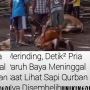 Viral Seorang Bapak Tua Penjual Tempe Meninggal Dunia Usai Melihat Hewan Kurbannya Disembelih