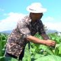 Petani di Lombok Barat Sambut Baik Bantuan Jalan usaha Tani dari Kementan