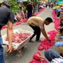 Manampuang, Tradisi Unik Bagi-bagi Daging Kurban Buat Warga Sitingkai Agam