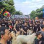 Unik, Warga Temenggungan Malang Arak Hewan Kurban Sebelum Disembelih