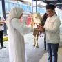 Usai Salat Idul Adha, Menaker Ida Saksikan Penyembelihan 40 Hewan Kurban di Kantor Kemnaker
