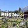 Wisata Alam Posong: Rekomendasi Liburan Keluarga yang Ciamik