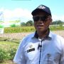 Kementan Berikan Bantuan Sarana dan Prasarana Imbas Badai El Nino di Lombok Barat